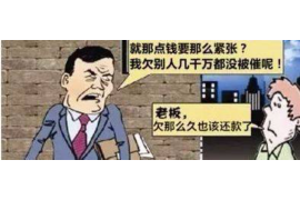 凤山债务清欠服务